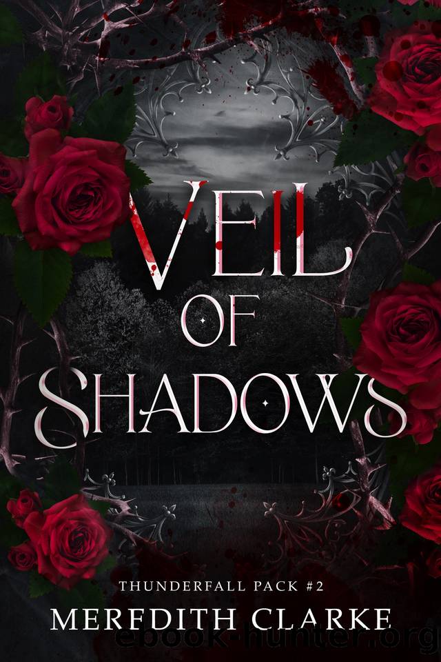 Veil of Shadows (Thunderfall Pack Book 2) by Meredith Clarke