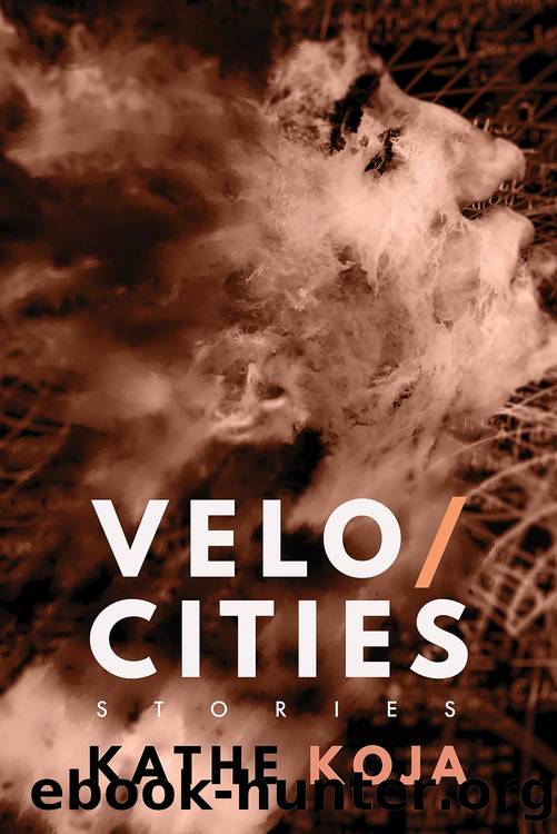 Velocities by Kathe Koja