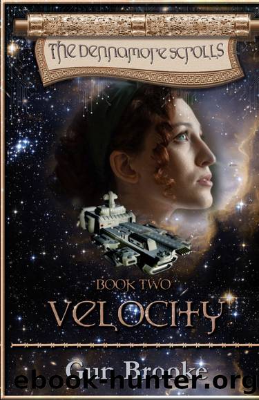 Velocity by Gun Brooke