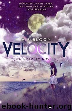 Velocity: The Gravity Series #2 by A. B Bloom