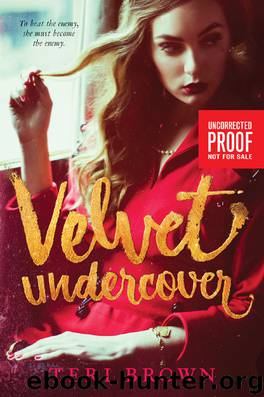Velvet Undercover by Brown Teri