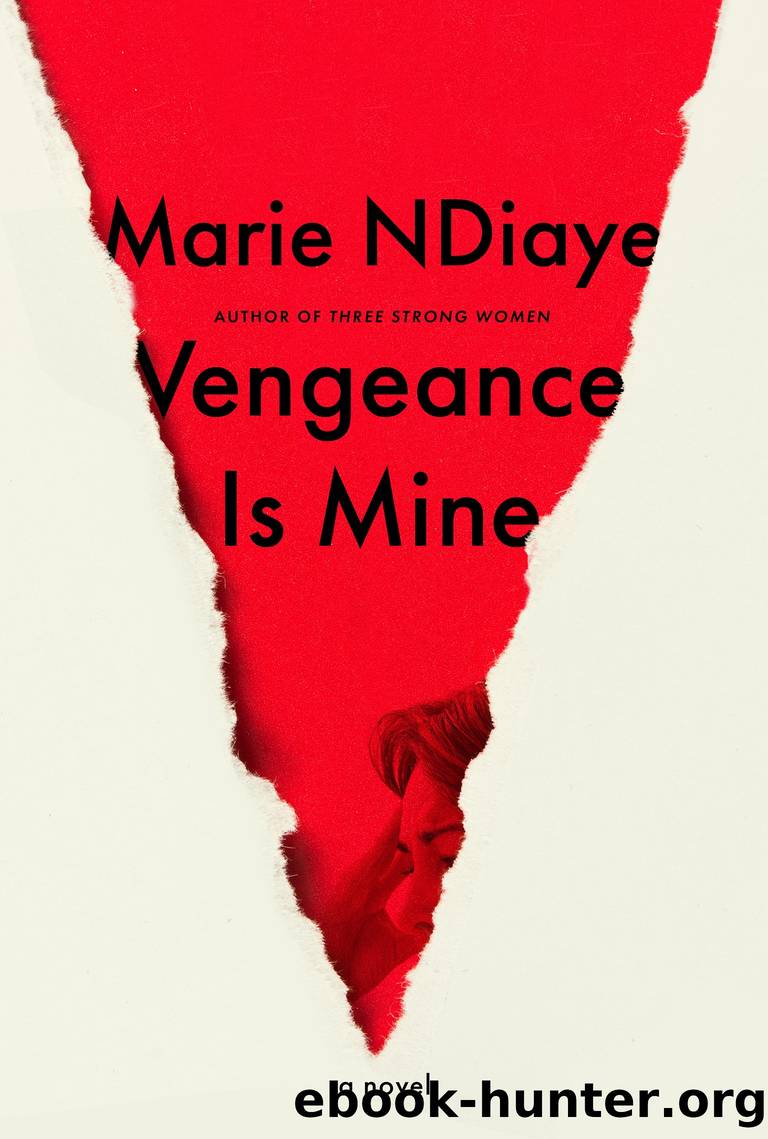 Vengeance Is Mine by Marie NDiaye