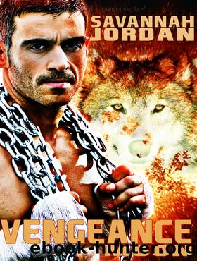Vengeance Moon by Savannah Jordan