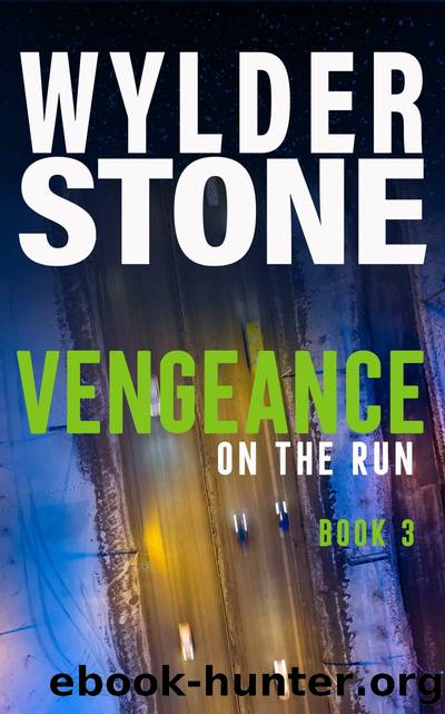 Vengeance On the Run by Wylder Stone