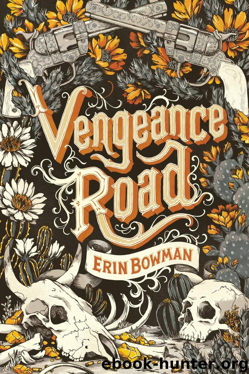 Vengeance Road by Erin Bowman