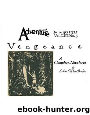 Vengeance by Arthur Gilchrist Brodeur