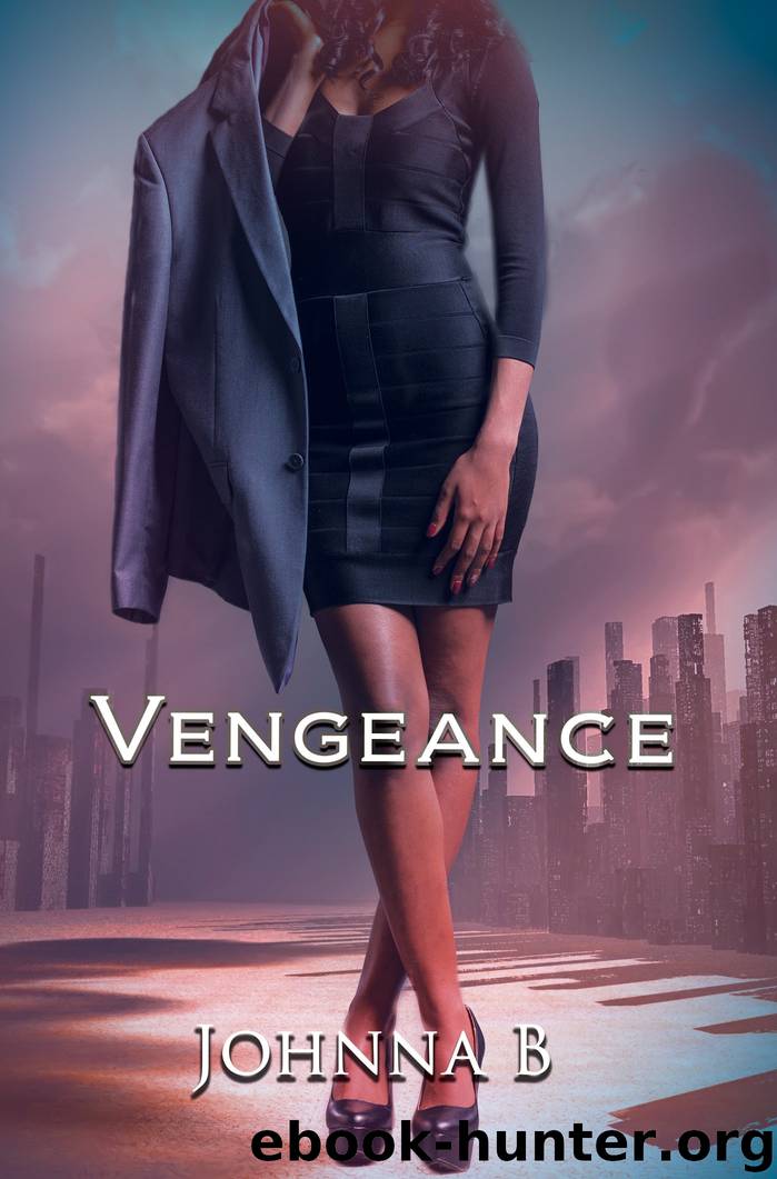 Vengeance by Johnna B