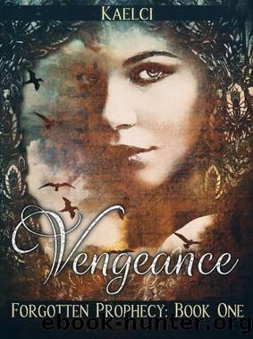Vengeance by Kaelci
