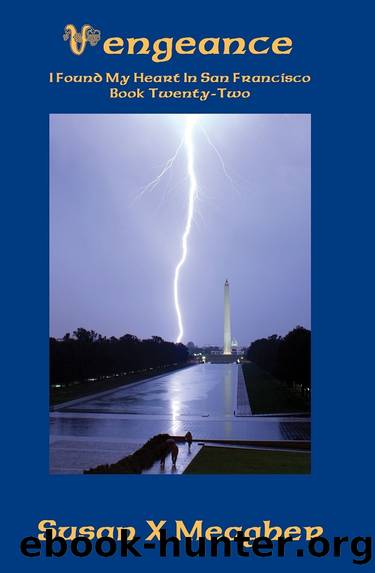 Vengeance by Susan X. Meagher