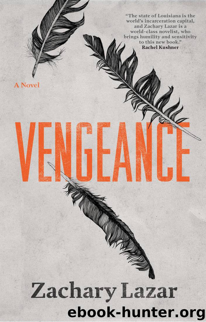 Vengeance by Zachary Lazar