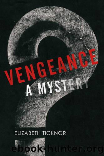 Vengeance: a Mystery by Elizabeth Ticknor