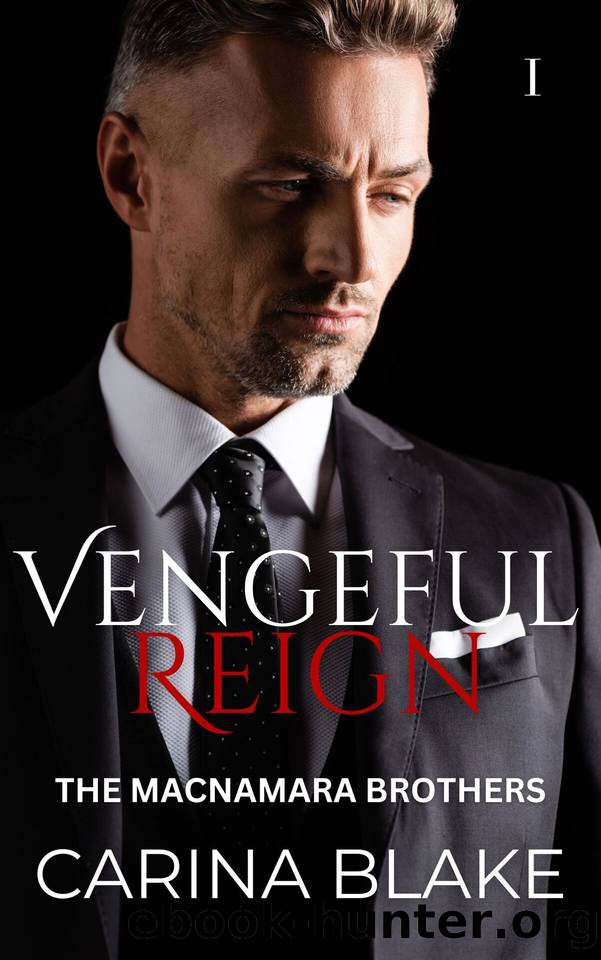 Vengeful Reign (The MacNamara Brothers Book 1) by Carina Blake