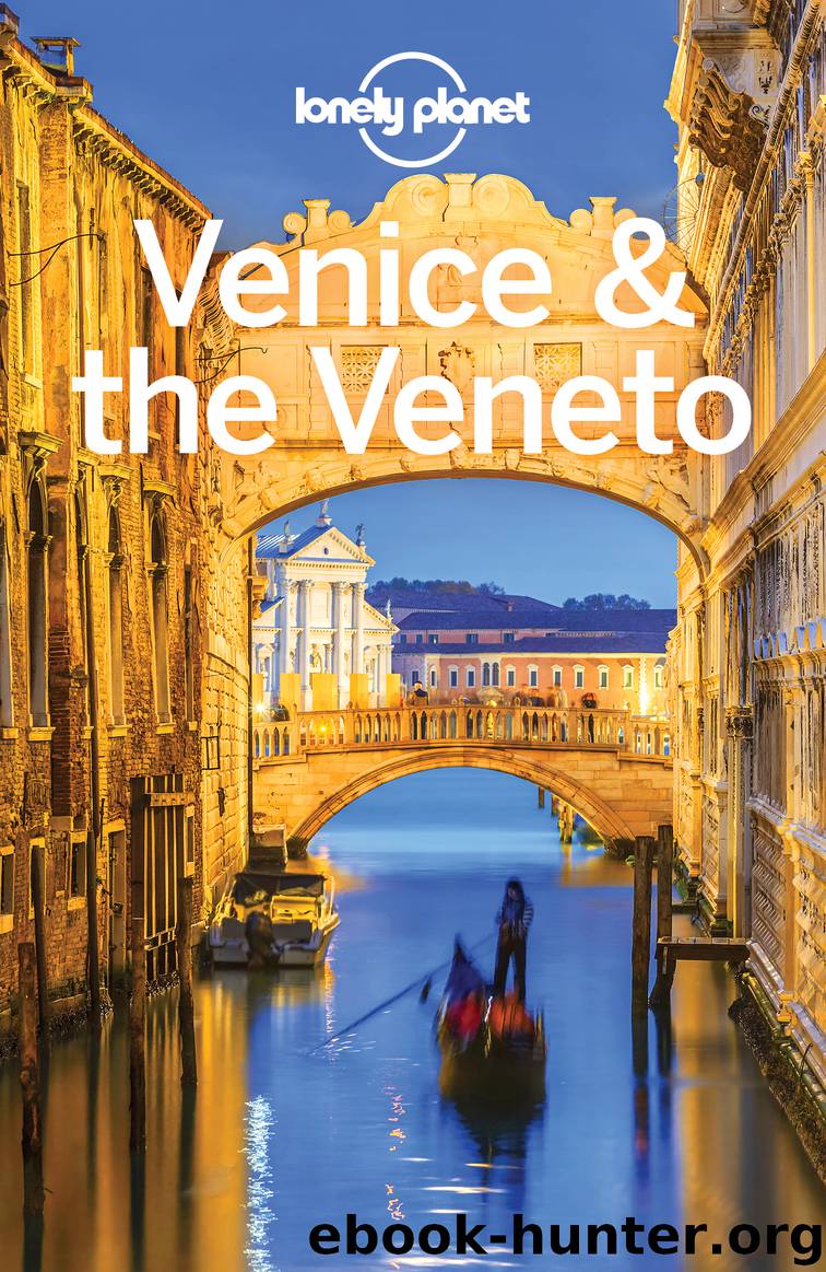 Venice & the Veneto Travel Guide by Lonely Planet