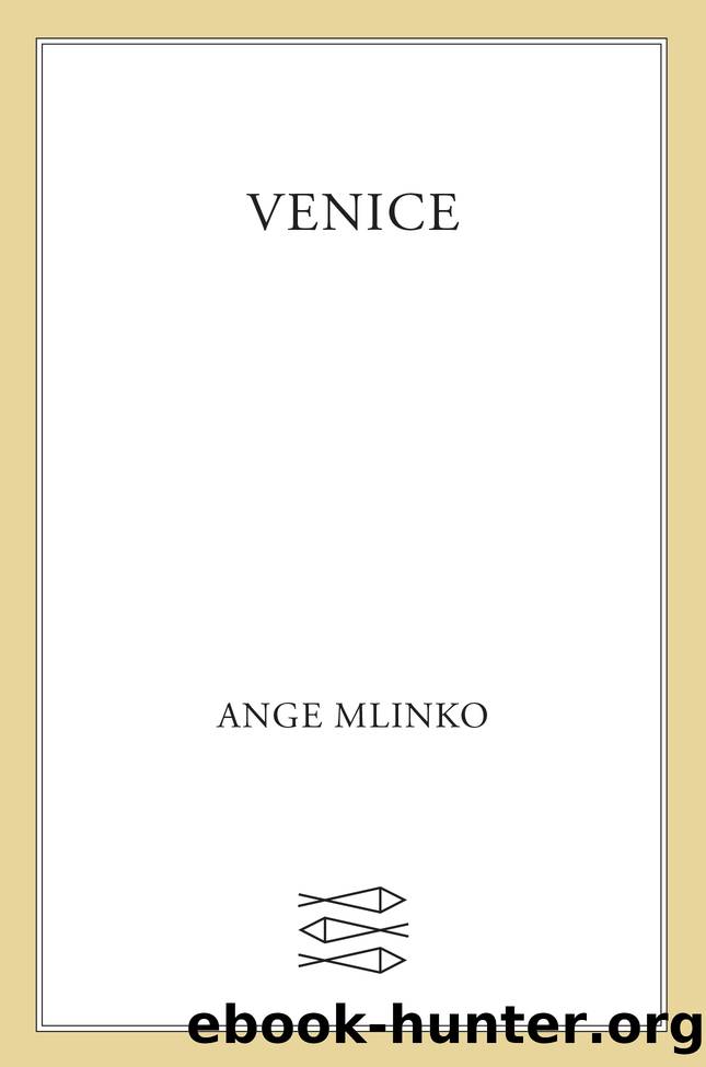 Venice by Ange Mlinko