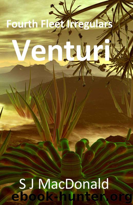 Venturi by S J MacDonald