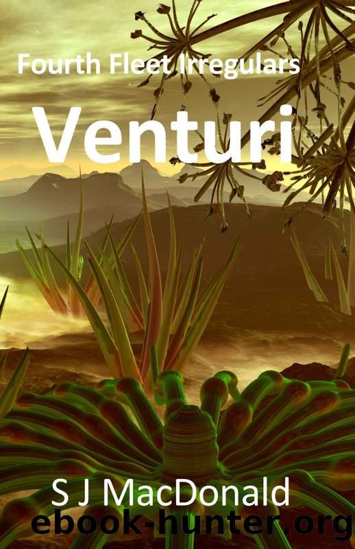 Venturi by SJ MacDonald