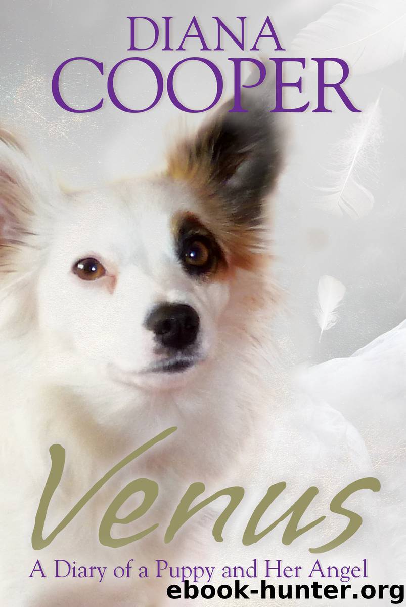 Venus by Diana Cooper
