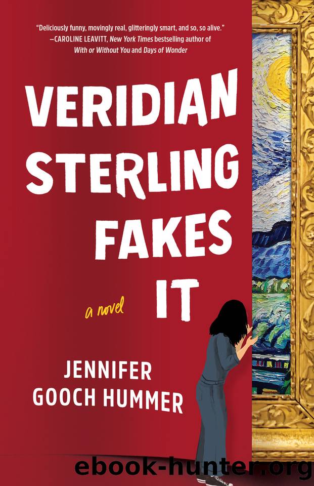 Veridian Sterling Fakes It: A Novel by Jennifer Gooch Hummer