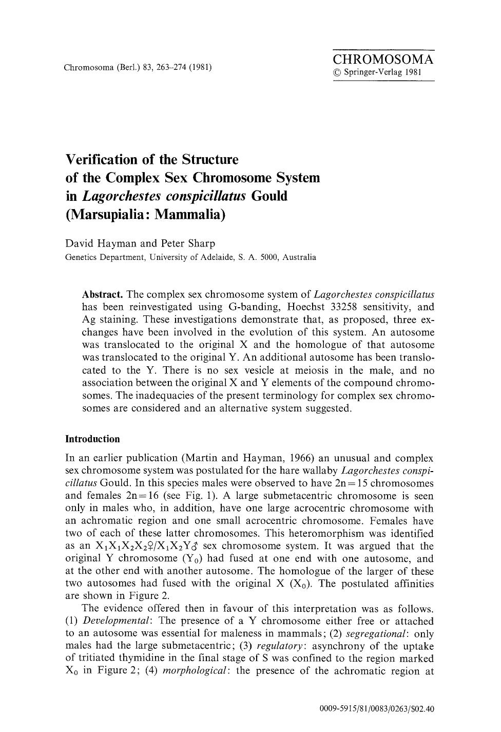 Verification of the structure of the complex sex chromosome system in <Emphasis Type="Italic">Lagorchestes conspicillatus<Emphasis> Gould (Marsupialia: Mammalia) by Unknown