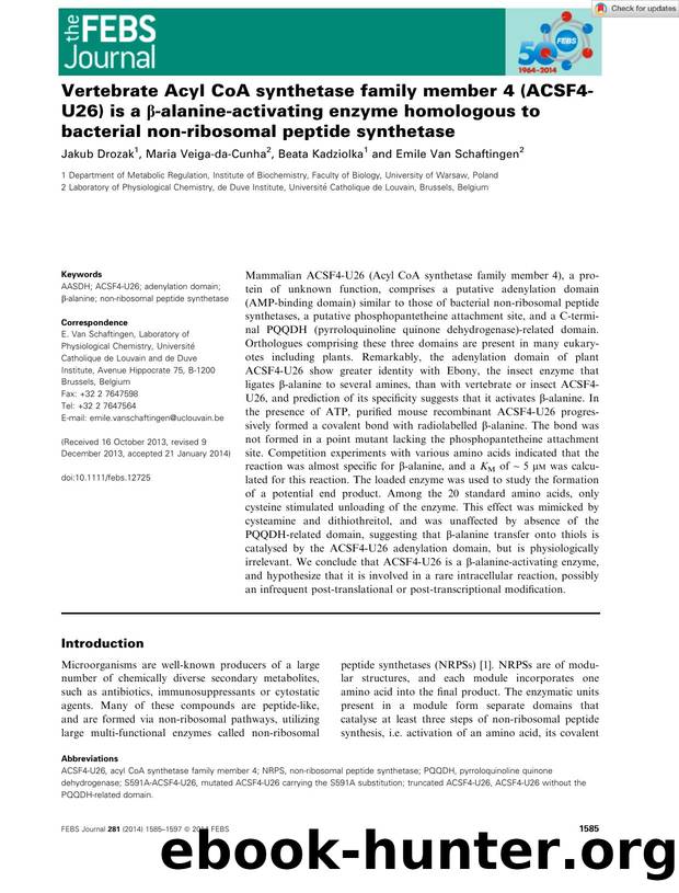 Vertebrate AcylÂ CoA synthetase family memberÂ 4 (ACSF4âU26) is a Î²âalanineâactivating enzyme homologous to bacterial nonâribosomal peptide synthetase by Unknown