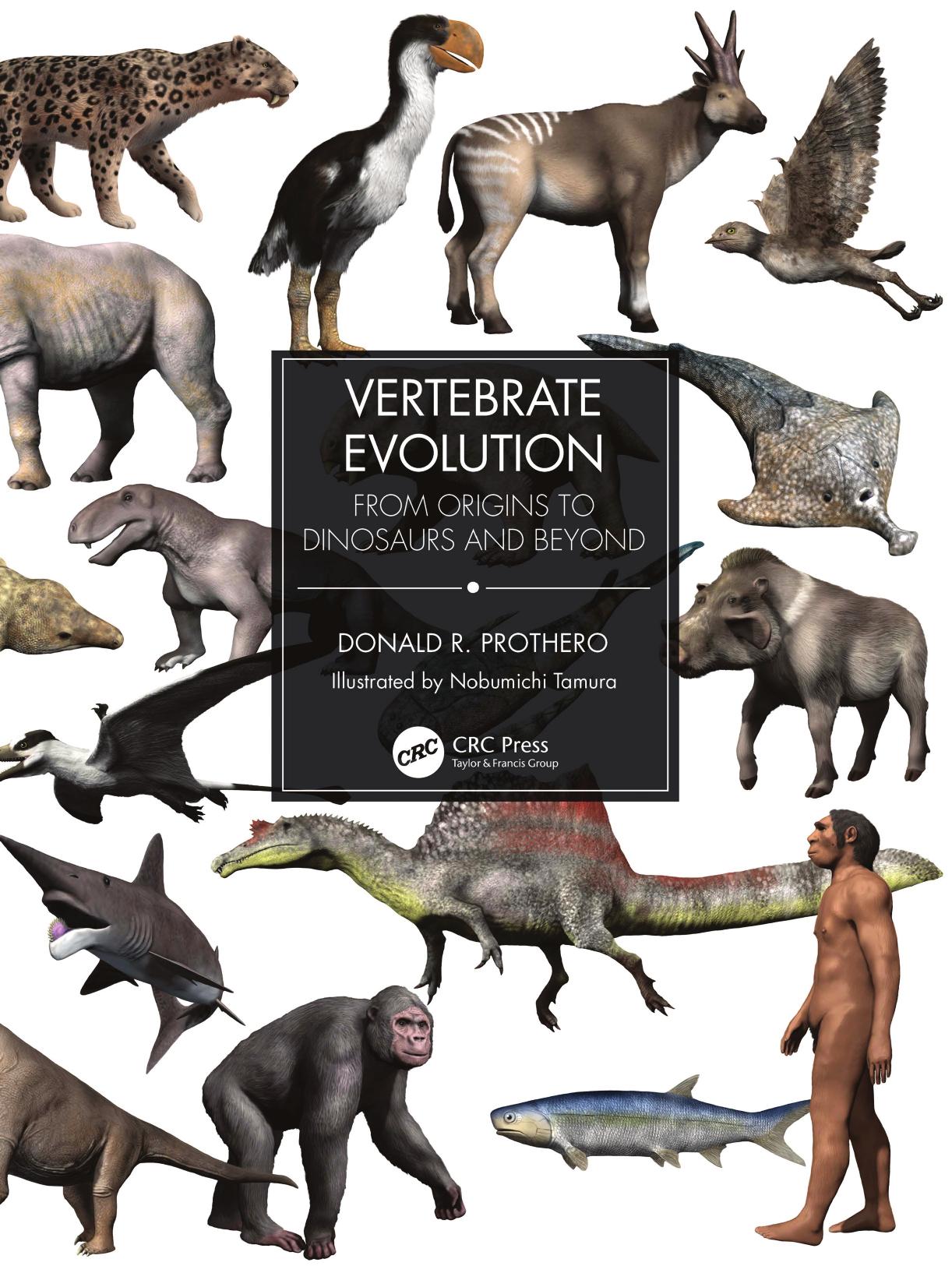 Vertebrate Evolution: From Origins to Dinosaurs and Beyond by Donald Prothero