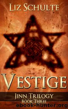 Vestige (The Jinn Trilogy Book 3) by Liz Schulte