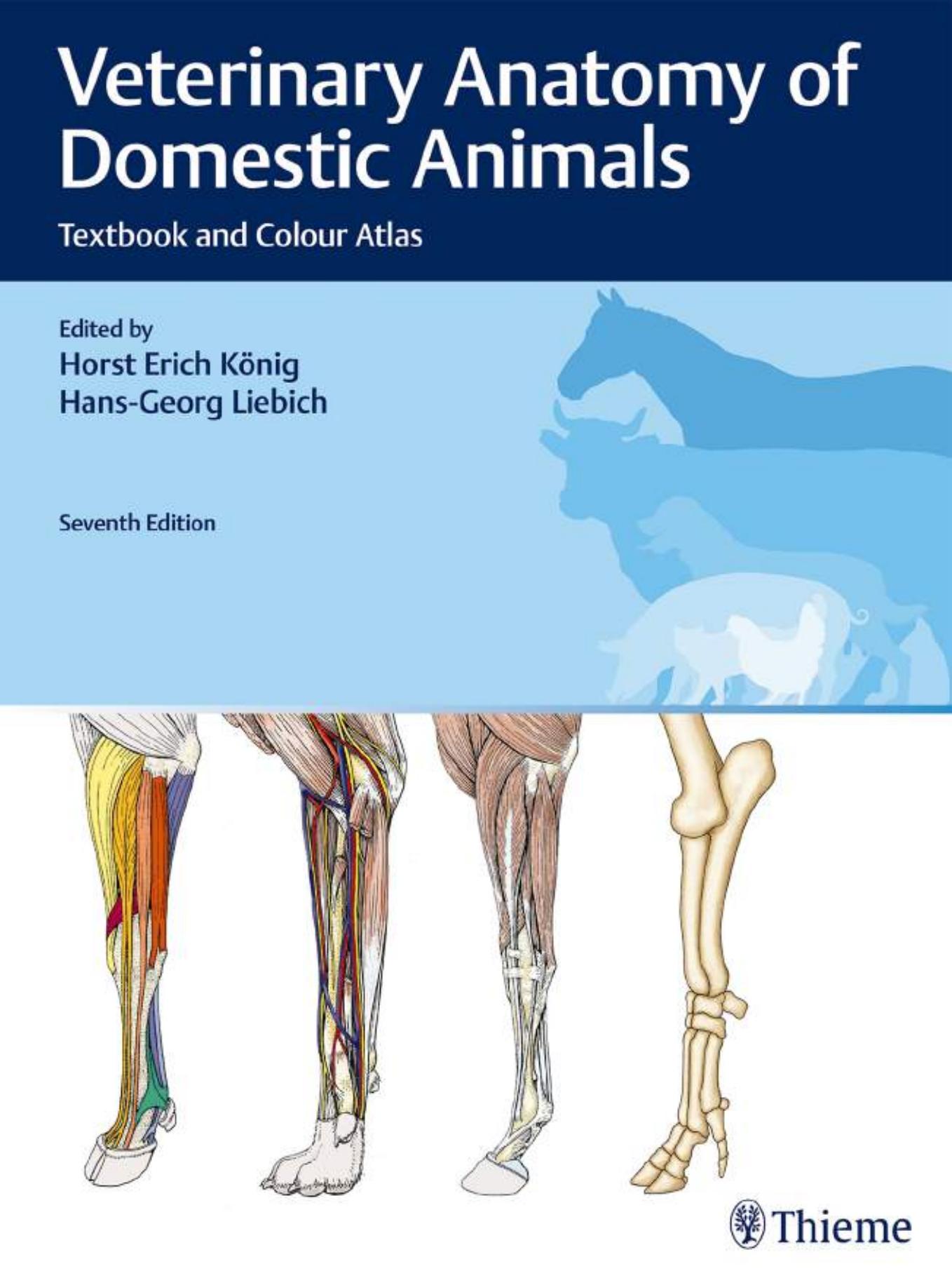 Veterinary Anatomy of Domestic Animals: Textbook and Colour Atlas SEVENTH Edition , Horst Erich KÃ¶nig, Hans-Georg Liebich by Veterinary Anatomy of Domestic Animals