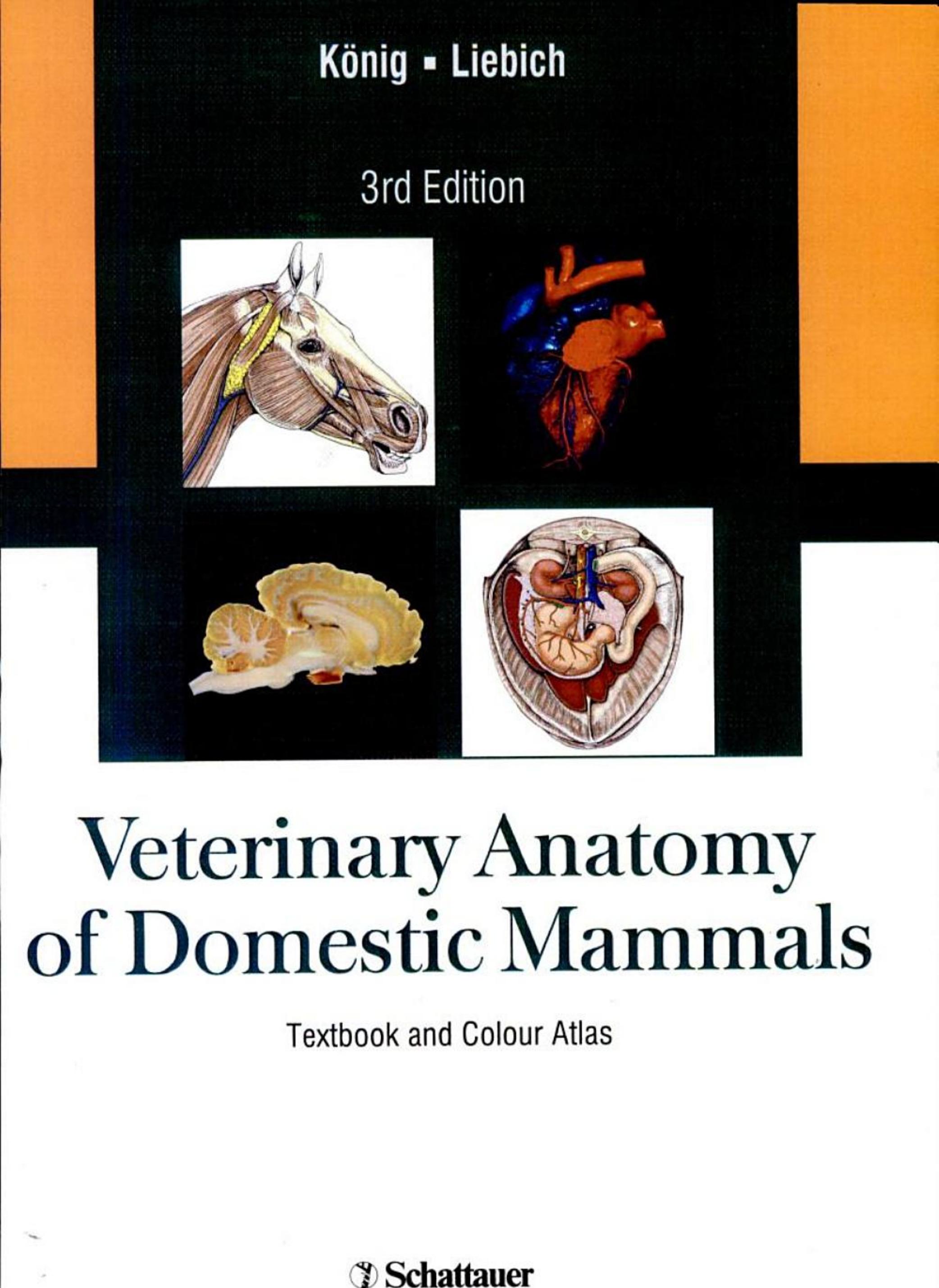 Veterinary Anatomy of Domestic Mammals by König H.E