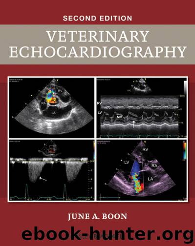 Veterinary Echocardiography by Boon June A