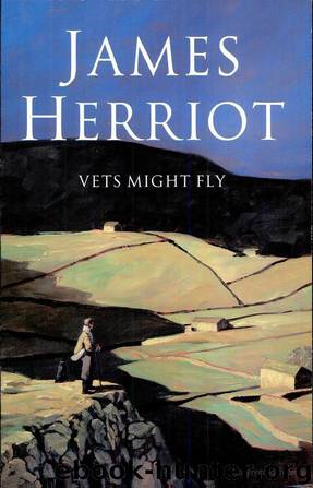 Vets Might Fly by Might Fly Vets