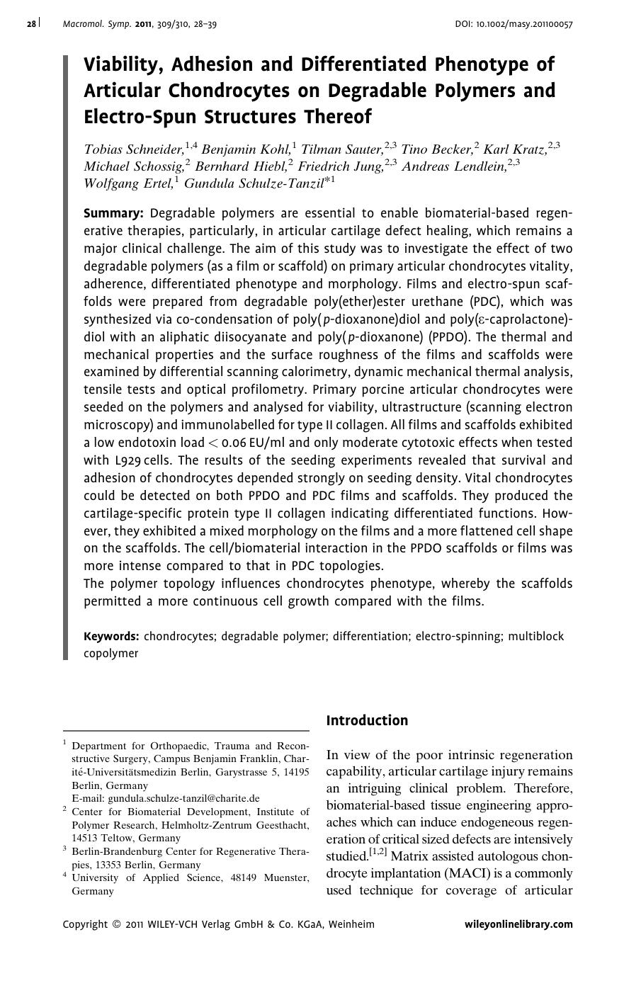 Viability, Adhesion and Differentiated Phenotype of Articular Chondrocytes on Degradable Polymers and ElectroSpun Structures Thereof by Unknown