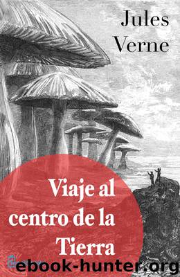 Viaje al centro de la Tierra by Julio Verne