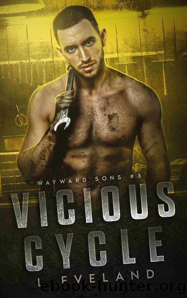 Vicious Cycle: A Dark MM Romance (Wayward Sons Book 3) by L Eveland