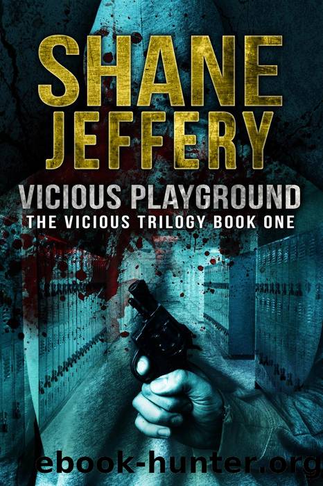 Vicious Playground by Shane Jeffery