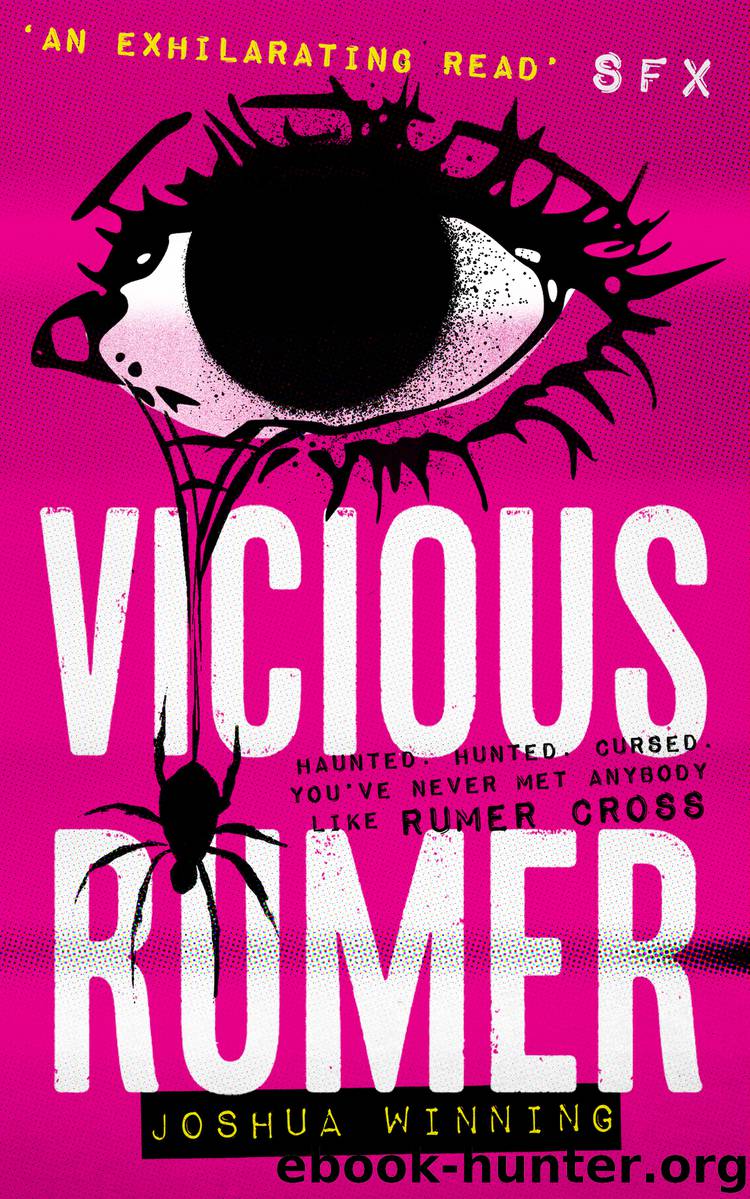 Vicious Rumer by Joshua Winning