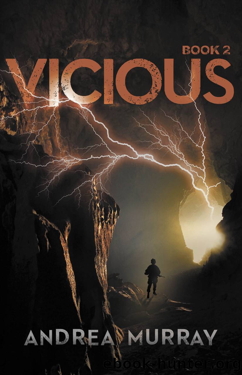 Vicious by Andrea Murray