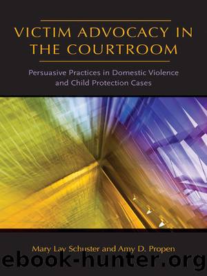 Victim Advocacy in the Courtroom by Schuster Mary Lay;Propen Amy D.;