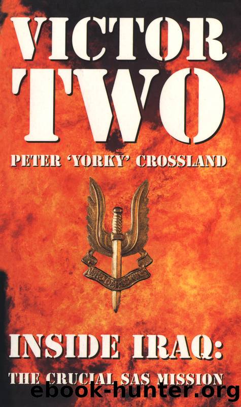 Victor Two by Peter Crossland