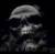Victories of the Space Marines by Christian Dunn