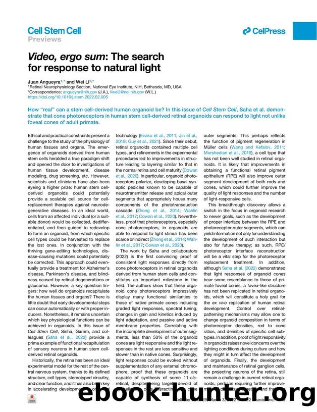 Video, ergo sum: The search for response to natural light by Juan Angueyra & Wei Li