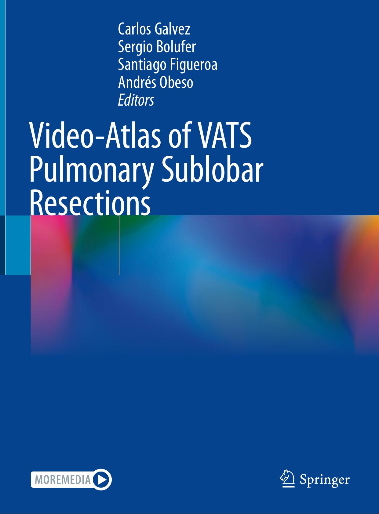 Video-Atlas of VATS Pulmonary Sublobar Resections by Carlos Galvez Sergio Bolufer Santiago Figueroa Andrés Obeso