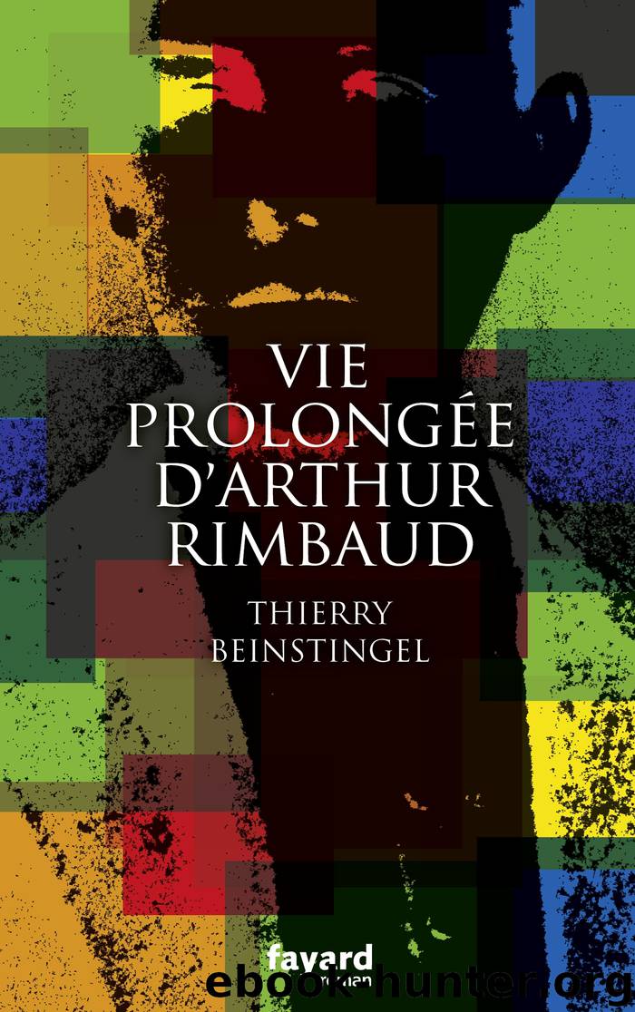 Vie prolongée d'Arthur Rimbaud by Thierry Beinstingel
