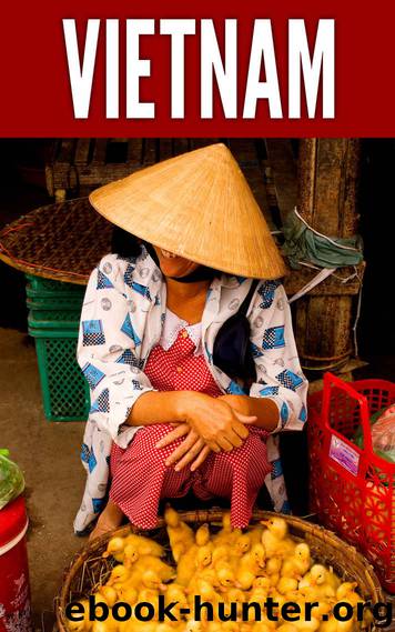 Vietnam 2014: New Information and Cultural Insights Entrepreneurs Need to Start a Business in Vietnam by Derek Sivers & Natalie Sisson