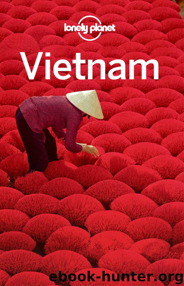 Vietnam Travel Guide by Lonely Planet