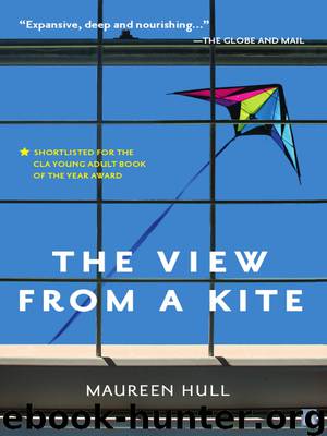 View From a Kite by Maureen Hull