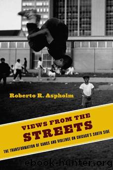 Views from the Streets (Studies in Transgression) by Roberto Aspholm