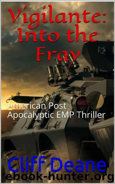 Vigilante (Book 2): Into the Fray by Deane Cliff