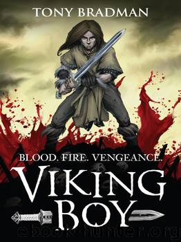 Viking Boy by Tony Bradman