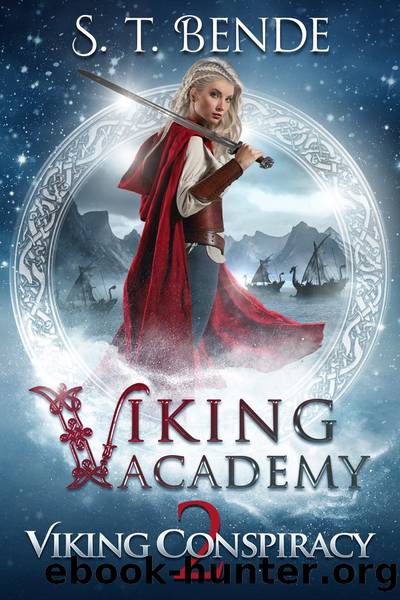 Viking Conspiracy by S. T. Bende