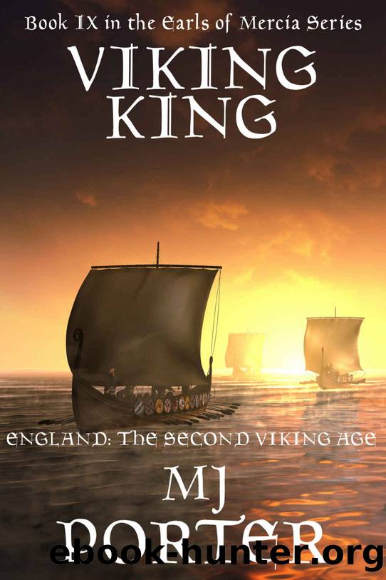 Viking King by M J Porter